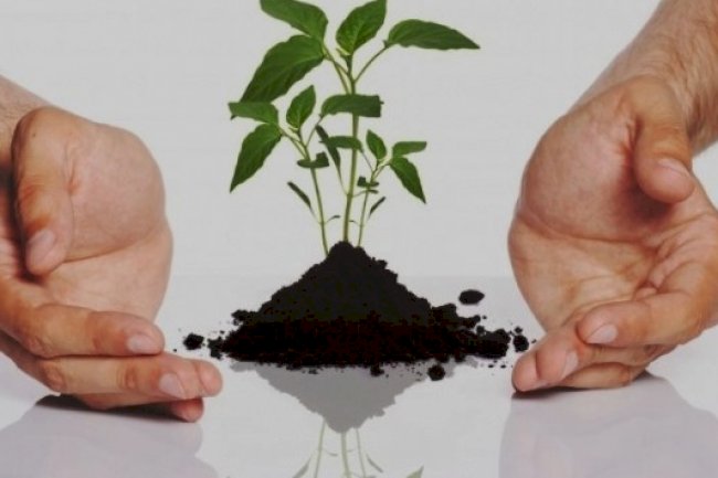 The primary priority of an expert real estate agent is to produce attractive value for the real estate owner. 